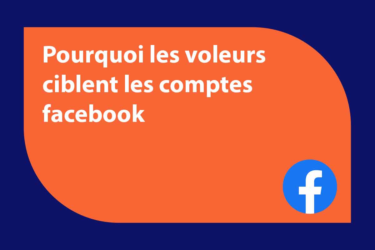 voleur-facebook